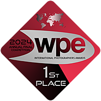 WPE 1st place Annual Final 2024 Fine Art Nude